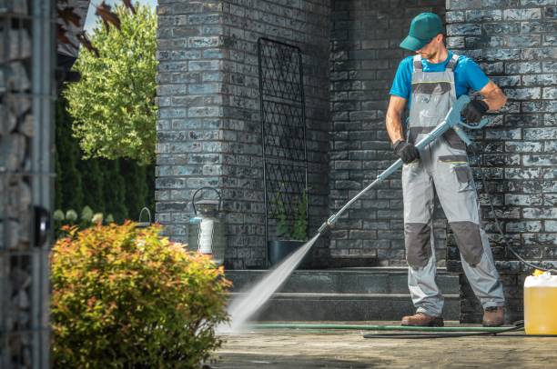 Best Roof Cleaning and Mildew Removal in Pontiac, IL